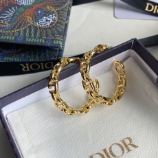 Christian Dior Earrings